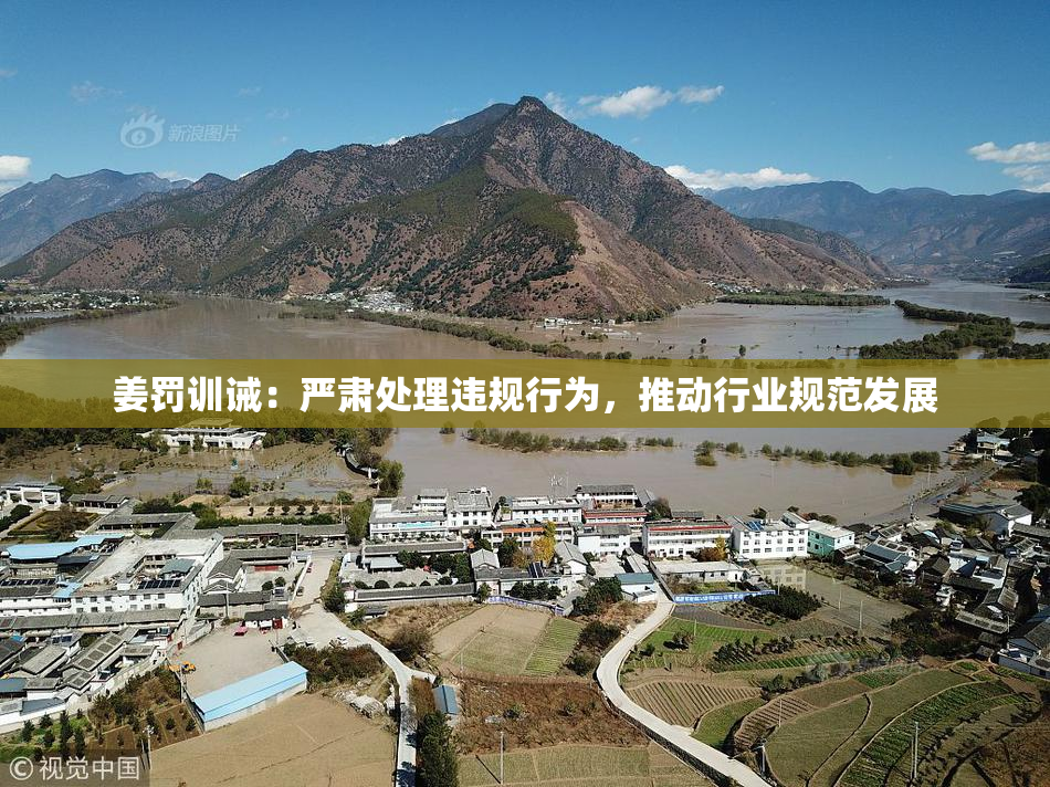 姜罚训诫：严肃处理违规行为，推动行业规范发展