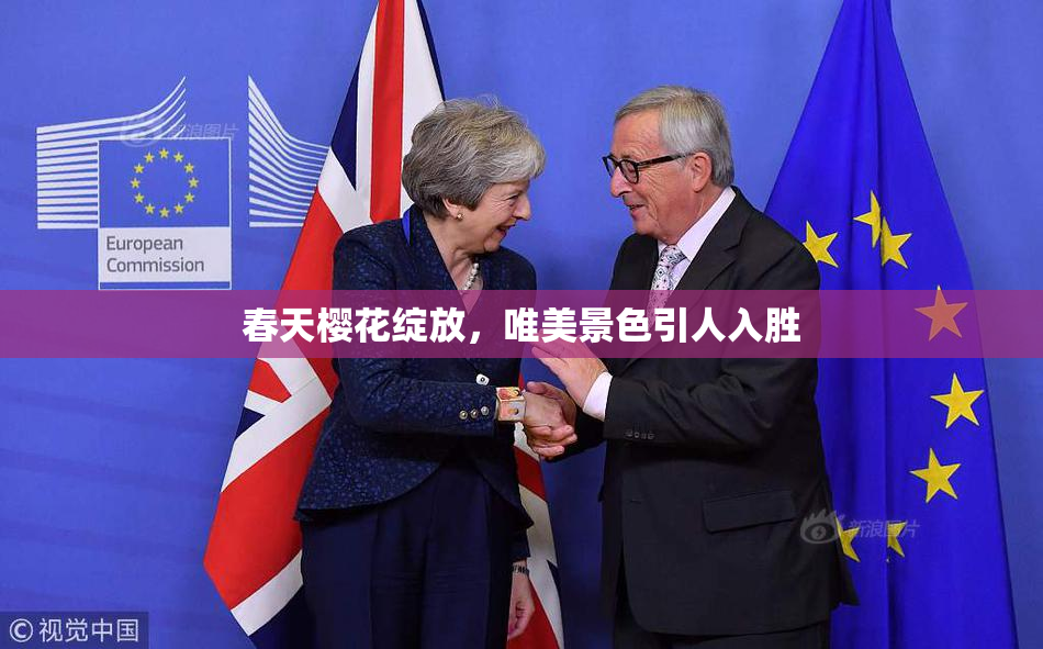 春天樱花绽放，唯美景色引人入胜
