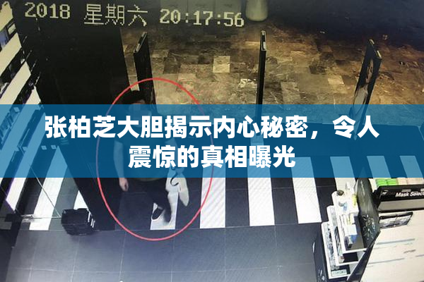 张柏芝大胆揭示内心秘密，令人震惊的真相曝光