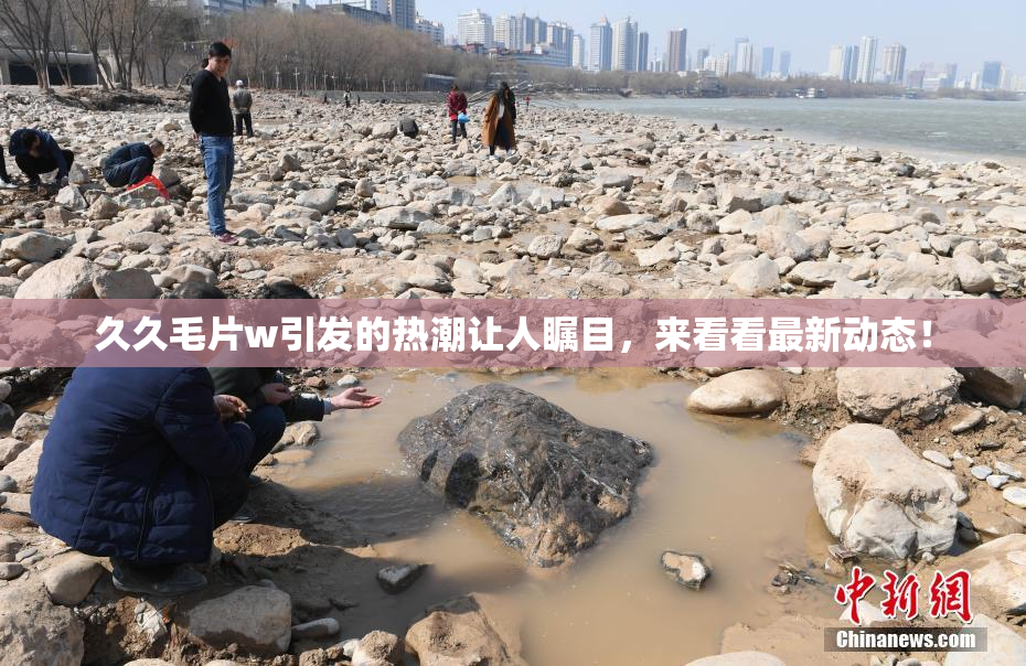 久久毛片w引发的热潮让人瞩目，来看看最新动态！