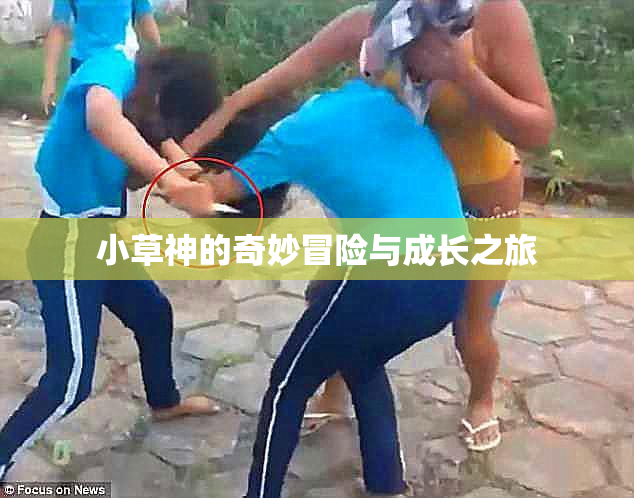 小草神的奇妙冒险与成长之旅