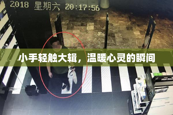 小手轻触大辑，温暖心灵的瞬间