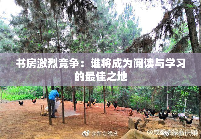 书房激烈竞争：谁将成为阅读与学习的最佳之地