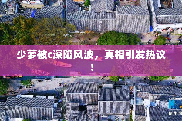 少萝被c深陷风波，真相引发热议！