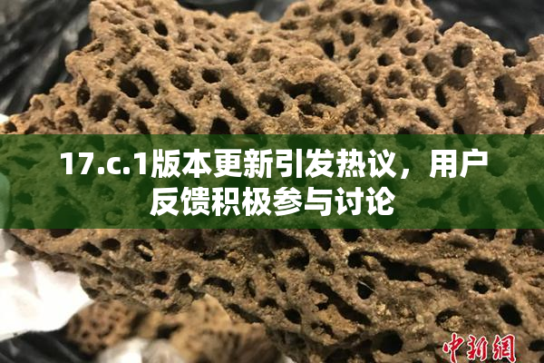 17.c.1版本更新引发热议，用户反馈积极参与讨论