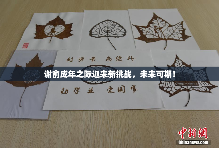 谢俞成年之际迎来新挑战，未来可期！