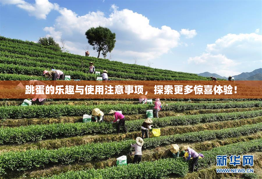 跳蛋的乐趣与使用注意事项，探索更多惊喜体验！
