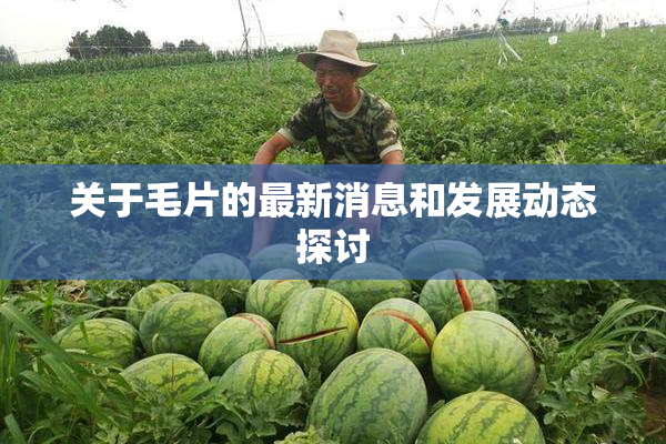 关于毛片的最新消息和发展动态探讨