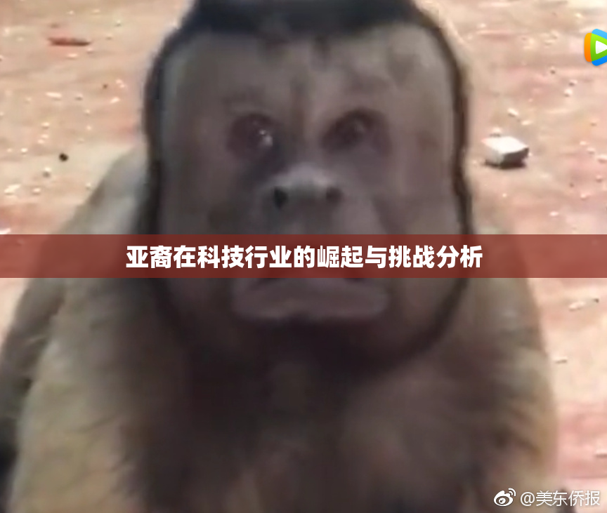 亚裔在科技行业的崛起与挑战分析