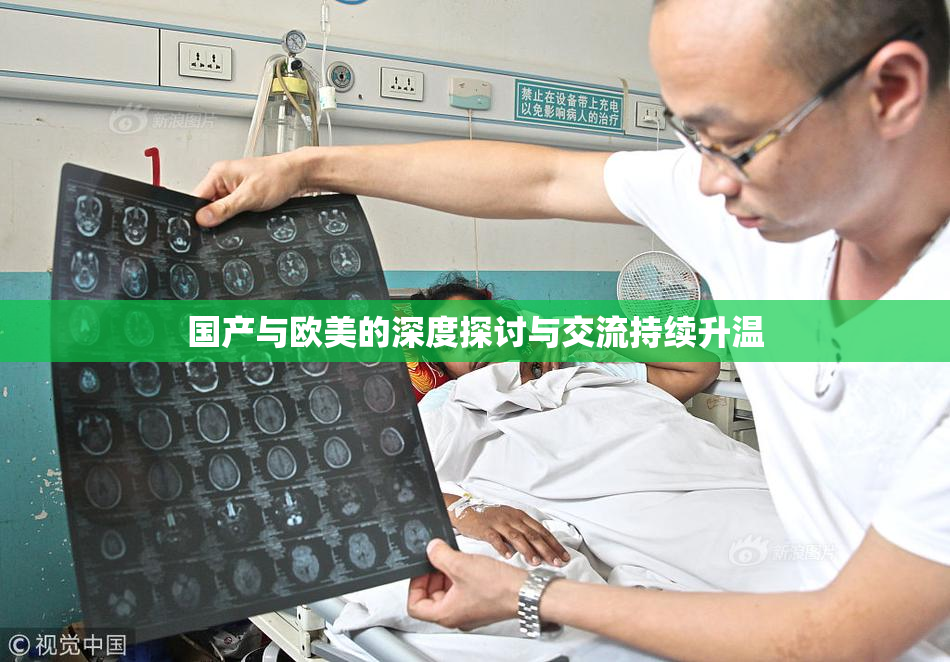 国产与欧美的深度探讨与交流持续升温