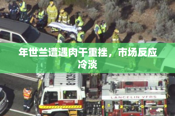 年世兰遭遇肉干重挫，市场反应冷淡