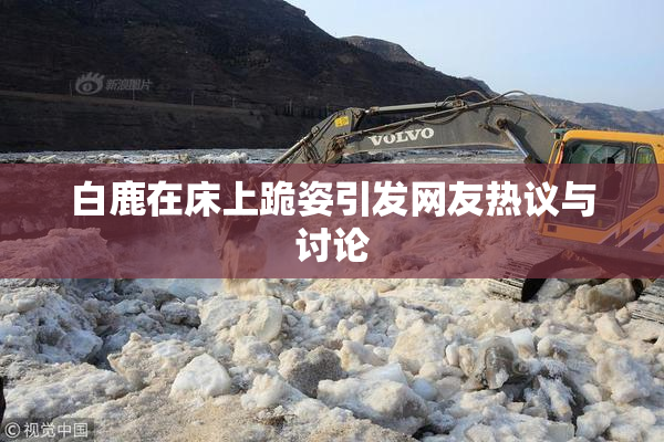 白鹿在床上跪姿引发网友热议与讨论