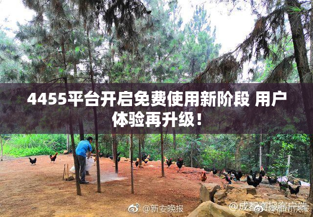 4455平台开启免费使用新阶段 用户体验再升级！