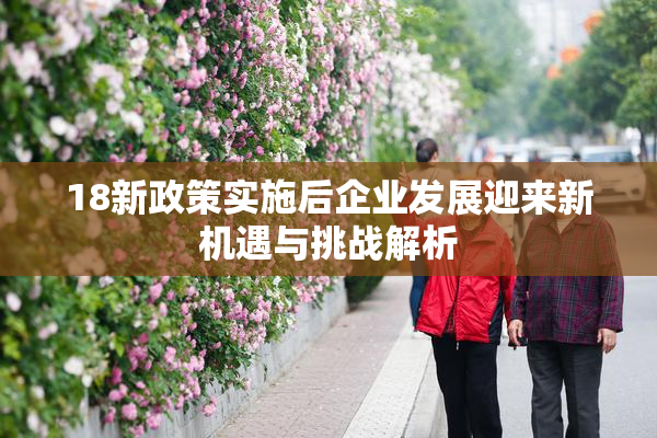 18新政策实施后企业发展迎来新机遇与挑战解析