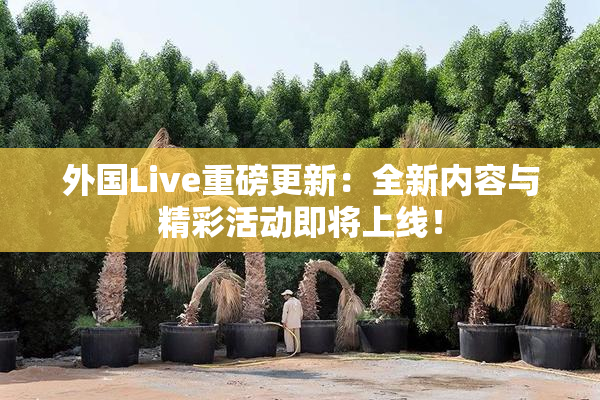 外国Live重磅更新：全新内容与精彩活动即将上线！