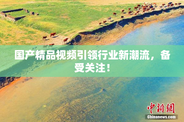 国产精品视频引领行业新潮流，备受关注！