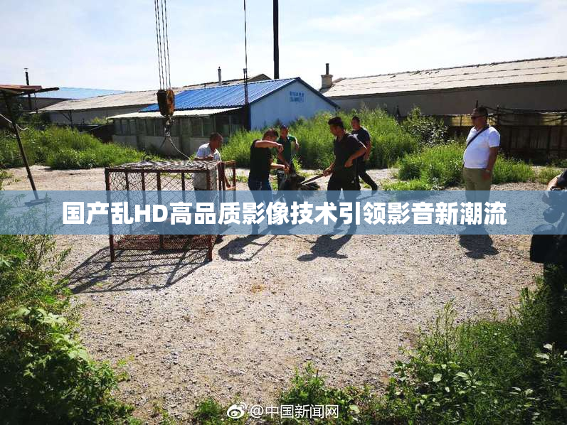国产乱HD高品质影像技术引领影音新潮流