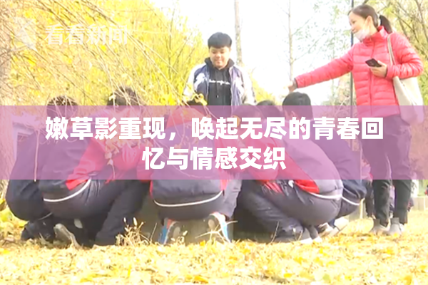嫩草影重现，唤起无尽的青春回忆与情感交织