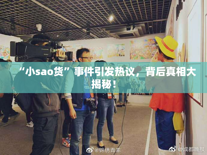 “小sao货”事件引发热议，背后真相大揭秘！