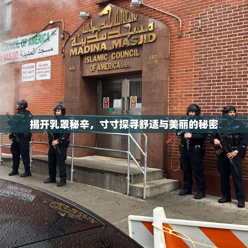揭开乳罩秘辛，寸寸探寻舒适与美丽的秘密