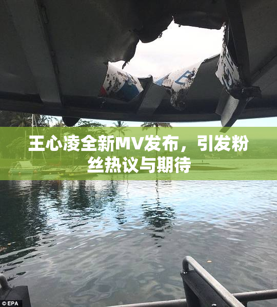 王心凌全新MV发布，引发粉丝热议与期待