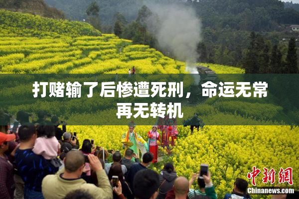 打赌输了后惨遭死刑，命运无常再无转机