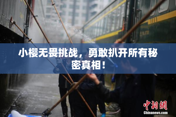 小樱无畏挑战，勇敢扒开所有秘密真相！