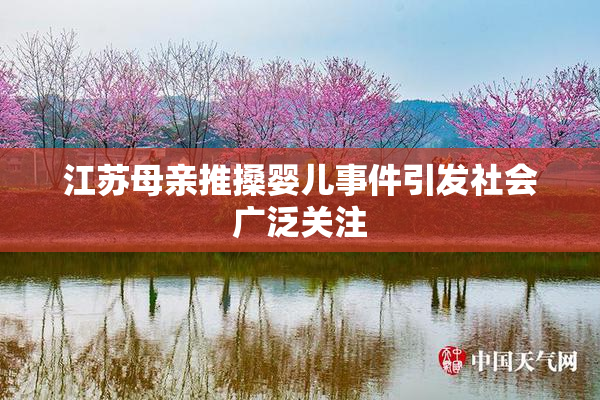 江苏母亲推搡婴儿事件引发社会广泛关注