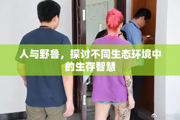 人与野鲁，探讨不同生态环境中的生存智慧