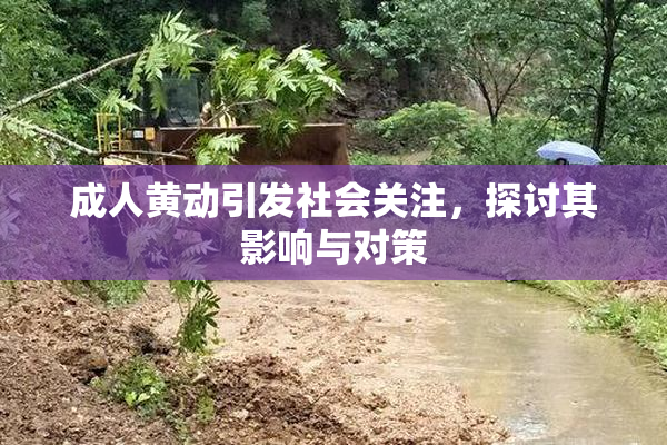 成人黄动引发社会关注，探讨其影响与对策