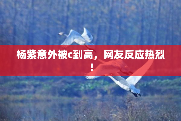 杨紫意外被c到高，网友反应热烈！