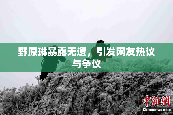 野原琳暴露无遗，引发网友热议与争议