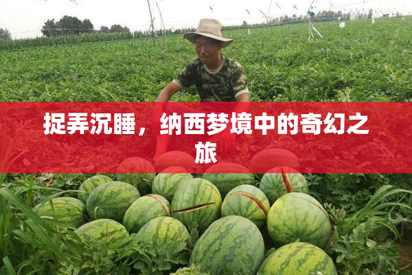 捉弄沉睡，纳西梦境中的奇幻之旅
