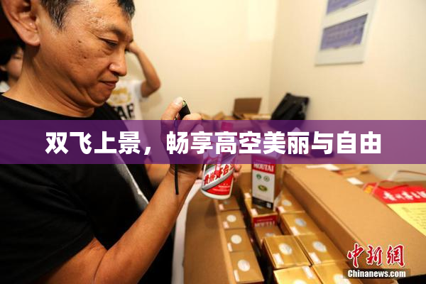 双飞上景，畅享高空美丽与自由