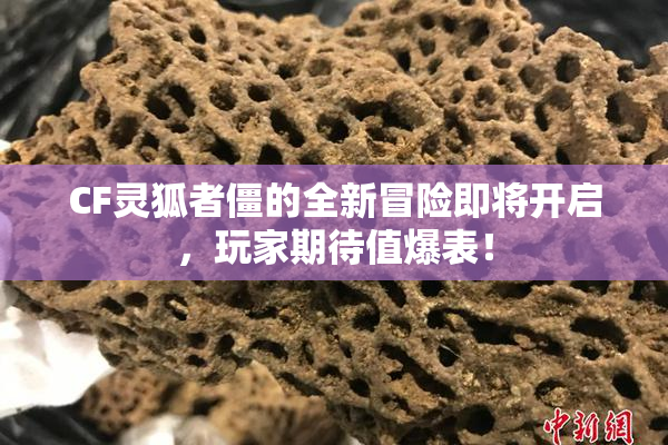 CF灵狐者僵的全新冒险即将开启，玩家期待值爆表！
