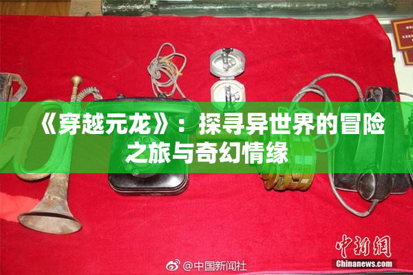 《穿越元龙》：探寻异世界的冒险之旅与奇幻情缘