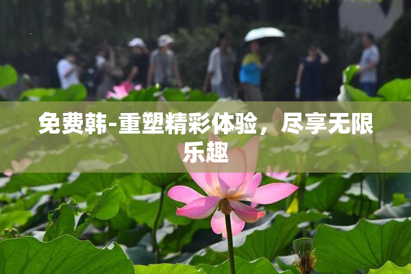 免费韩-重塑精彩体验，尽享无限乐趣