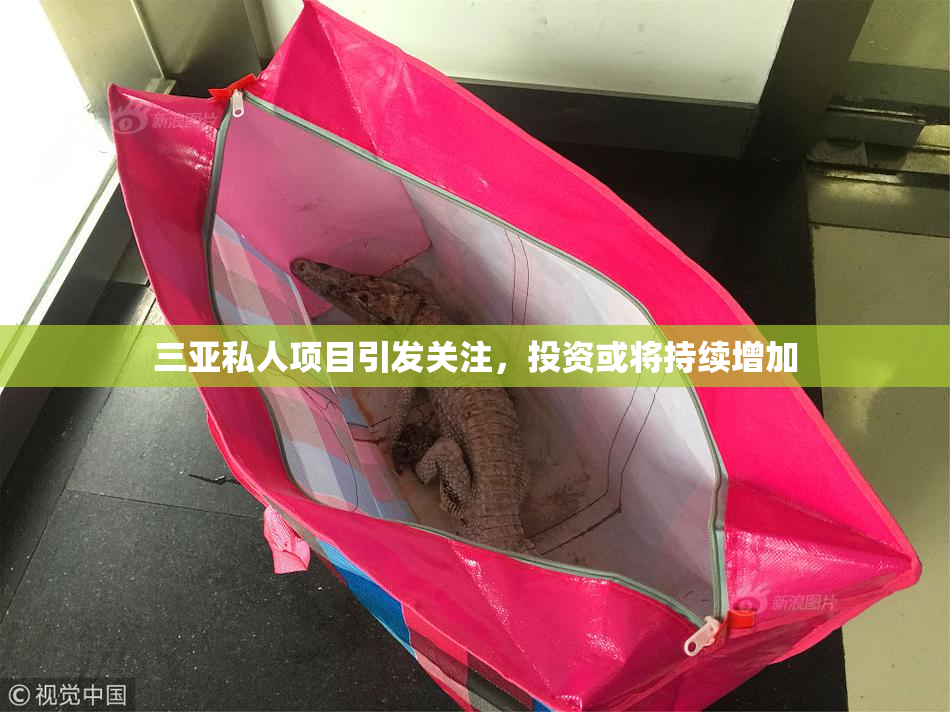 三亚私人项目引发关注，投资或将持续增加