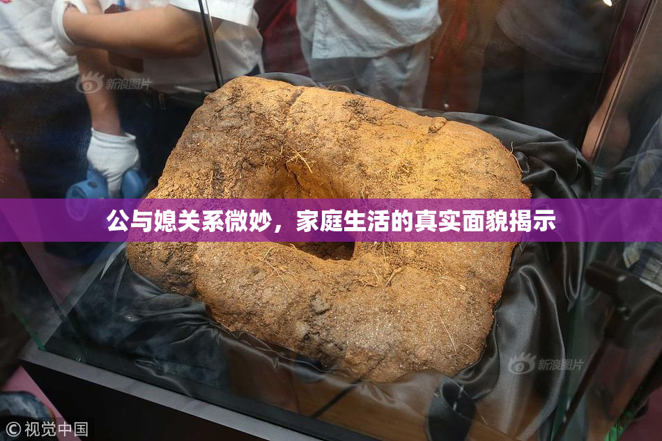 公与媳关系微妙，家庭生活的真实面貌揭示