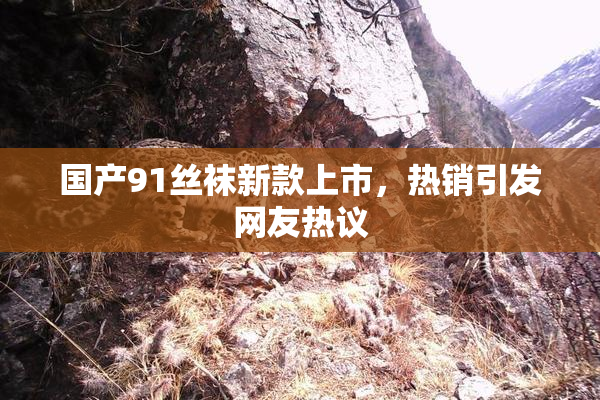 国产91丝袜新款上市，热销引发网友热议