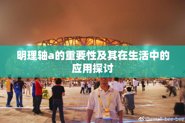 明理轴a的重要性及其在生活中的应用探讨