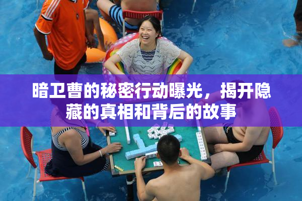 暗卫曹的秘密行动曝光，揭开隐藏的真相和背后的故事
