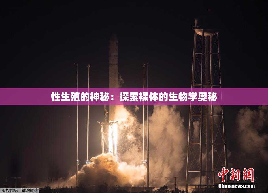 性生殖的神秘：探索裸体的生物学奥秘
