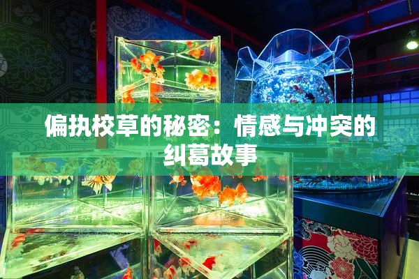 偏执校草的秘密：情感与冲突的纠葛故事