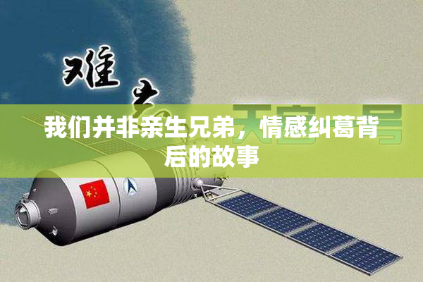 我们并非亲生兄弟，情感纠葛背后的故事