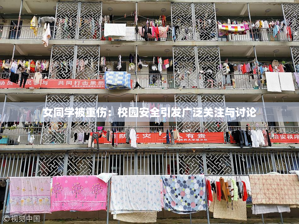 女同学被重伤：校园安全引发广泛关注与讨论