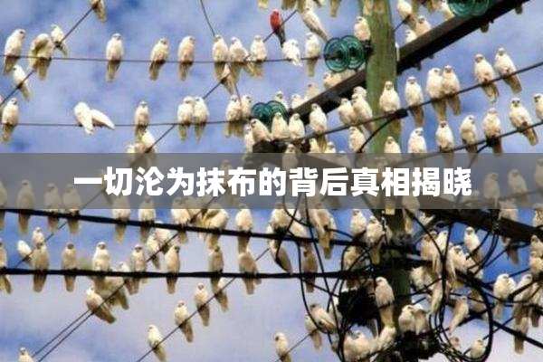 一切沦为抹布的背后真相揭晓