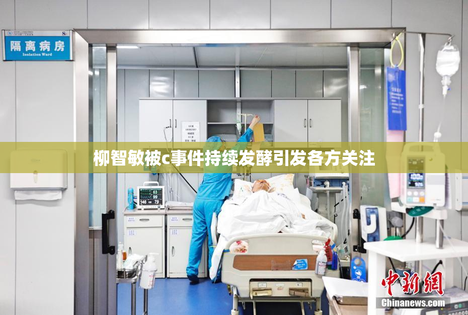 柳智敏被c事件持续发酵引发各方关注