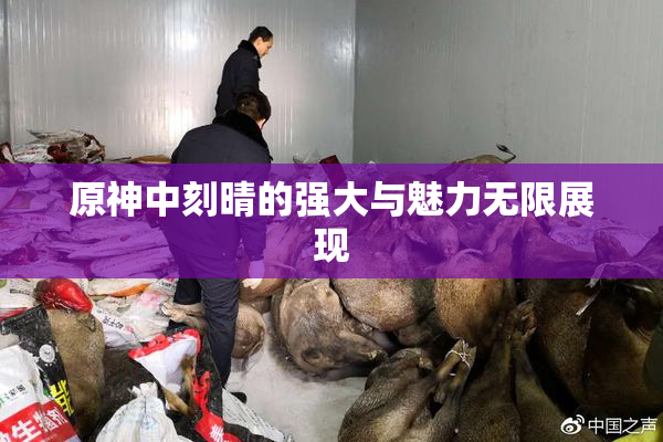 原神中刻晴的强大与魅力无限展现