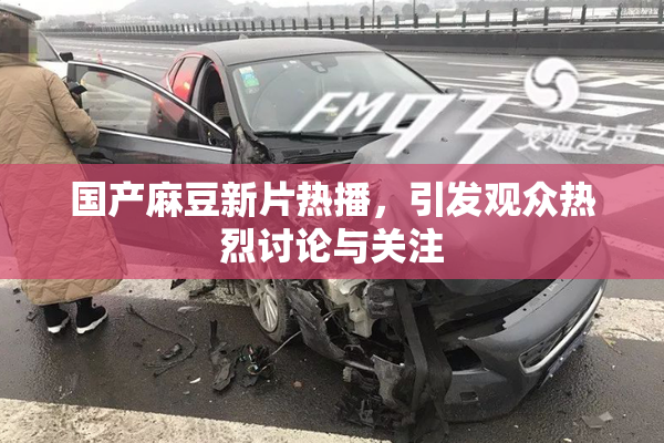 国产麻豆新片热播，引发观众热烈讨论与关注
